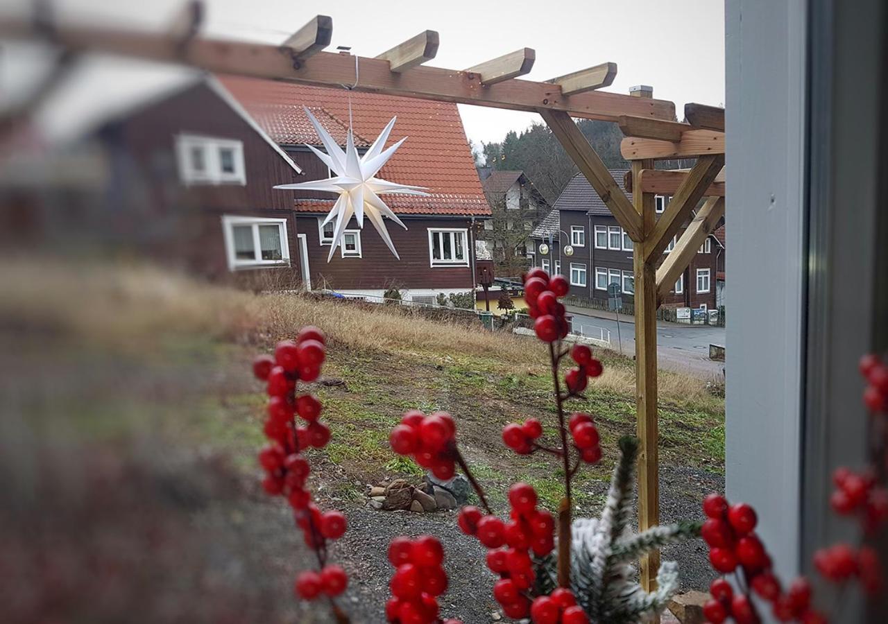 Apartament Harzer Rabe Braunlage Zewnętrze zdjęcie